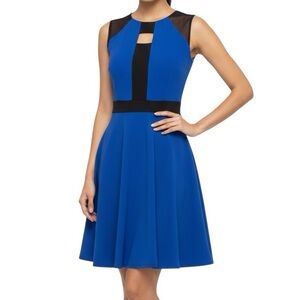 Cobalt Blue Dress